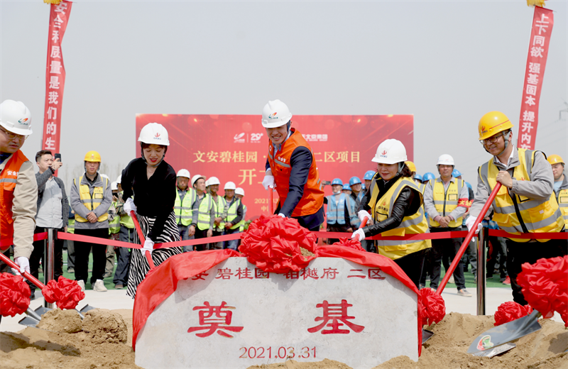 2021年3月31日，由北京集团承建的碧桂园·铂樾府二区工程正式开工，携手建设单位、监理单位一同在项目部举行了隆重的奠基仪式。